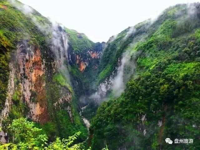 逃离天伯伦森林