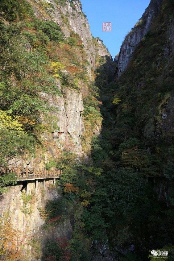 全球通胀“加剧”，囤货是否能应对物价上涨?