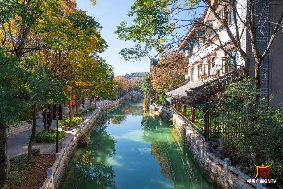 植物的株高是指什么？游戏画面